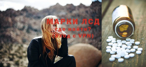 прущие грибы Богородицк