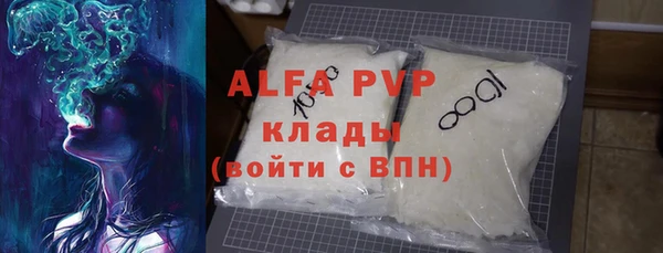 прущие грибы Богданович
