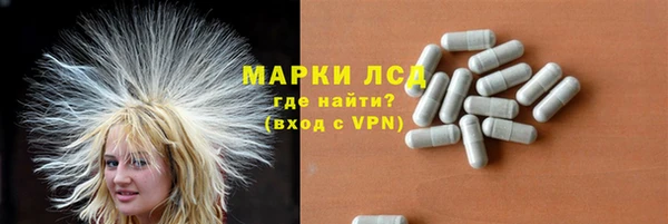 прущие грибы Богданович