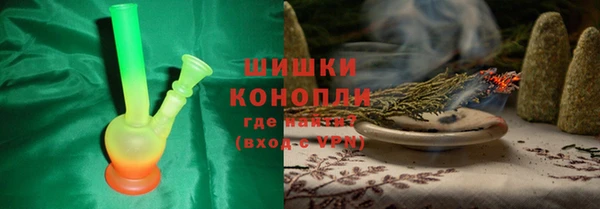 прущие грибы Богородицк