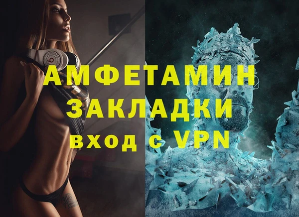 прущие грибы Богородицк