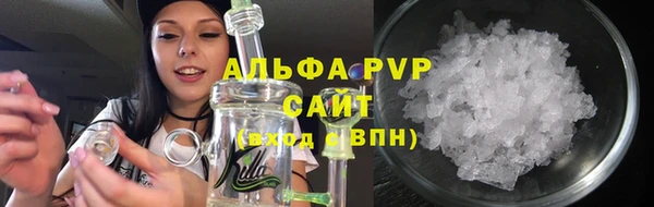 стаф Богородск