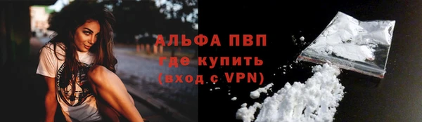 прущие грибы Богданович