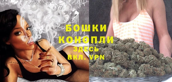 прущие грибы Богданович