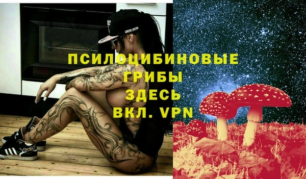 прущие грибы Богданович