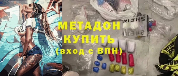 прущие грибы Богданович