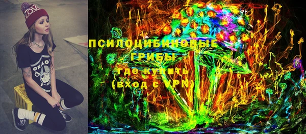 прущие грибы Богданович