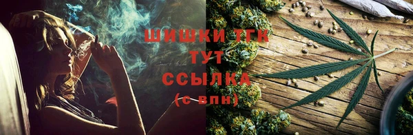 прущие грибы Богородицк