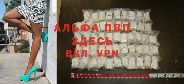 прущие грибы Богданович