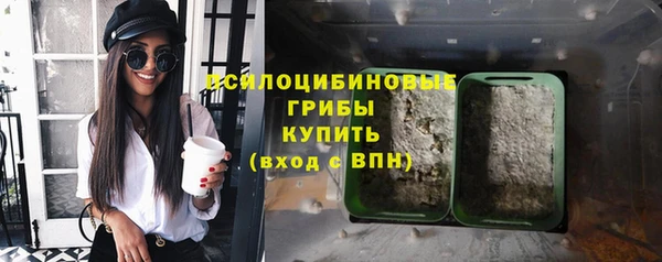 прущие грибы Богородицк